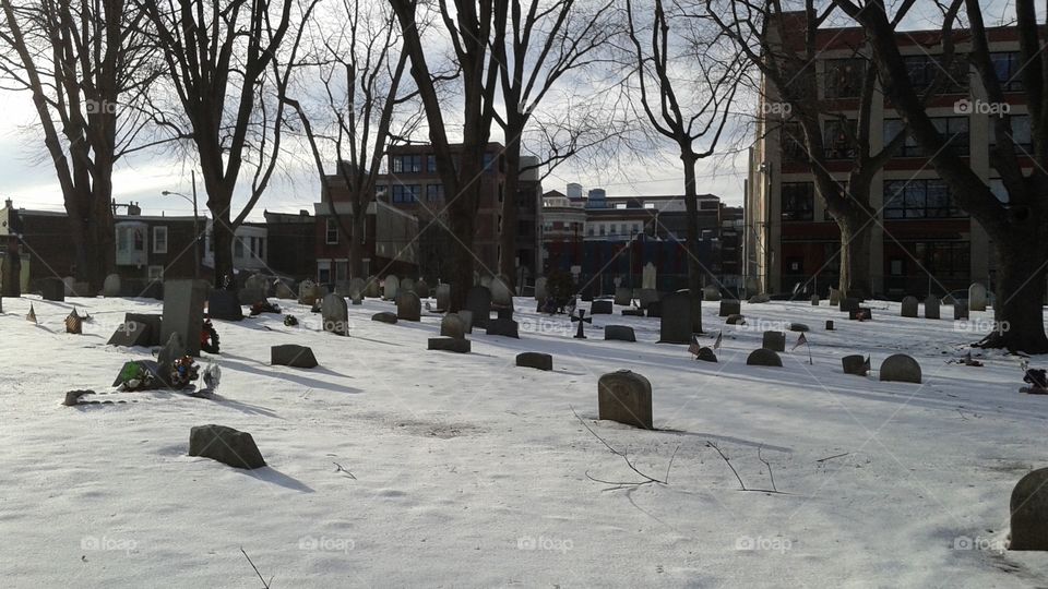 Cemetery in the snow. Palmer Cemetery winter 2014/2015