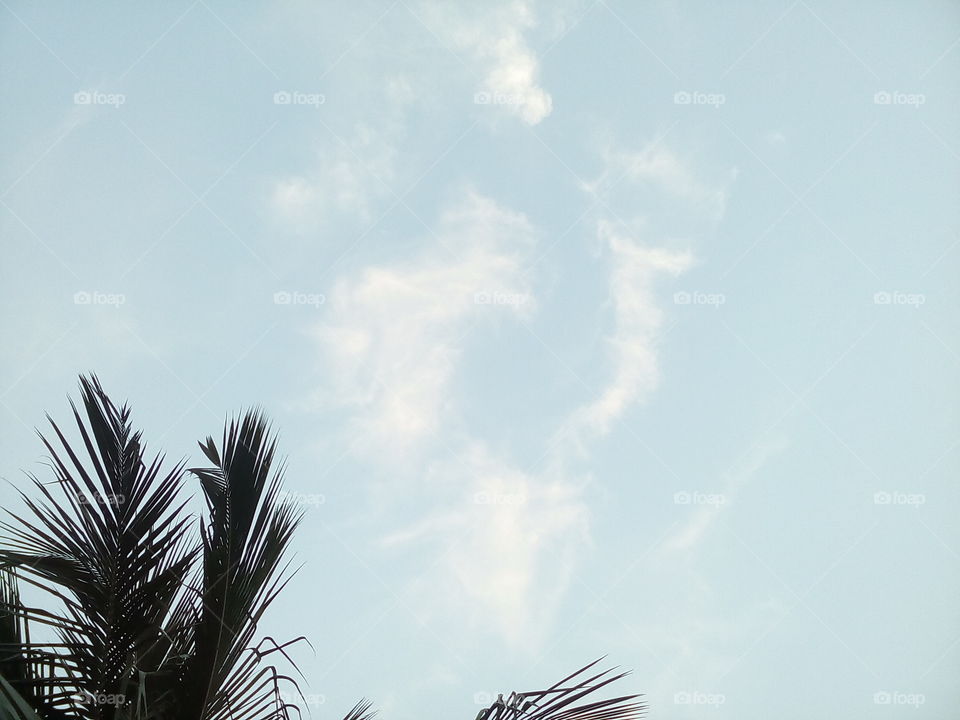 such nice cloud