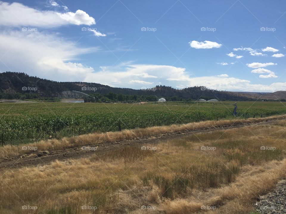 Landscape, No Person, Nature, Sky, Outdoors