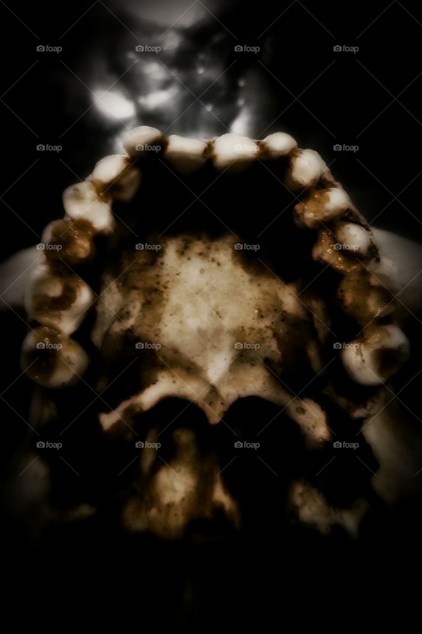 Inside the human skull.