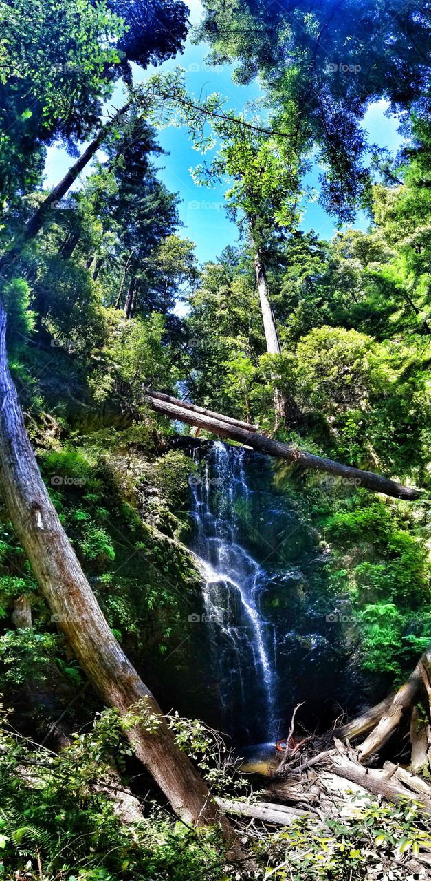 Panoramic Perfection