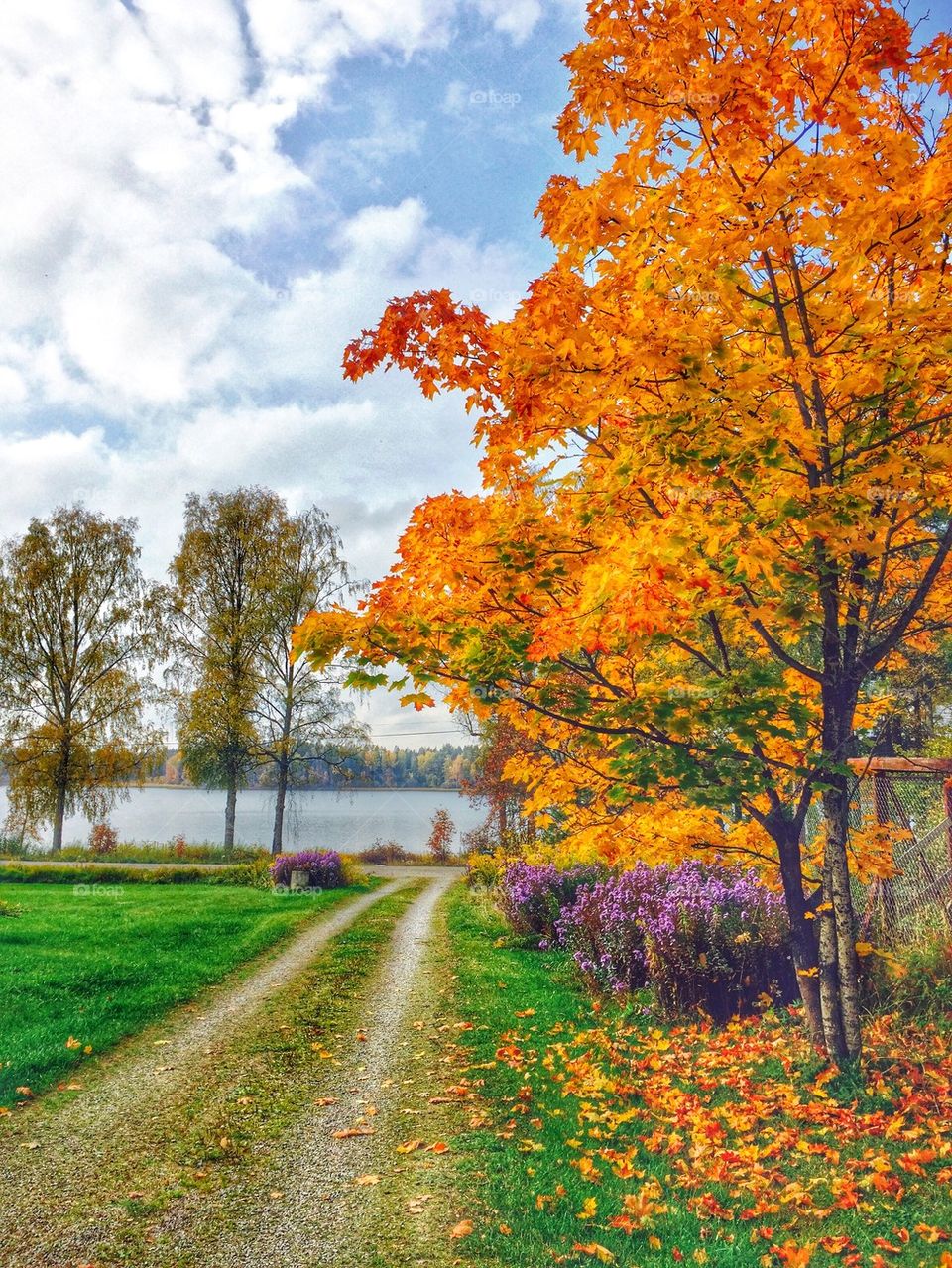 Empty path along with grass during autumn
