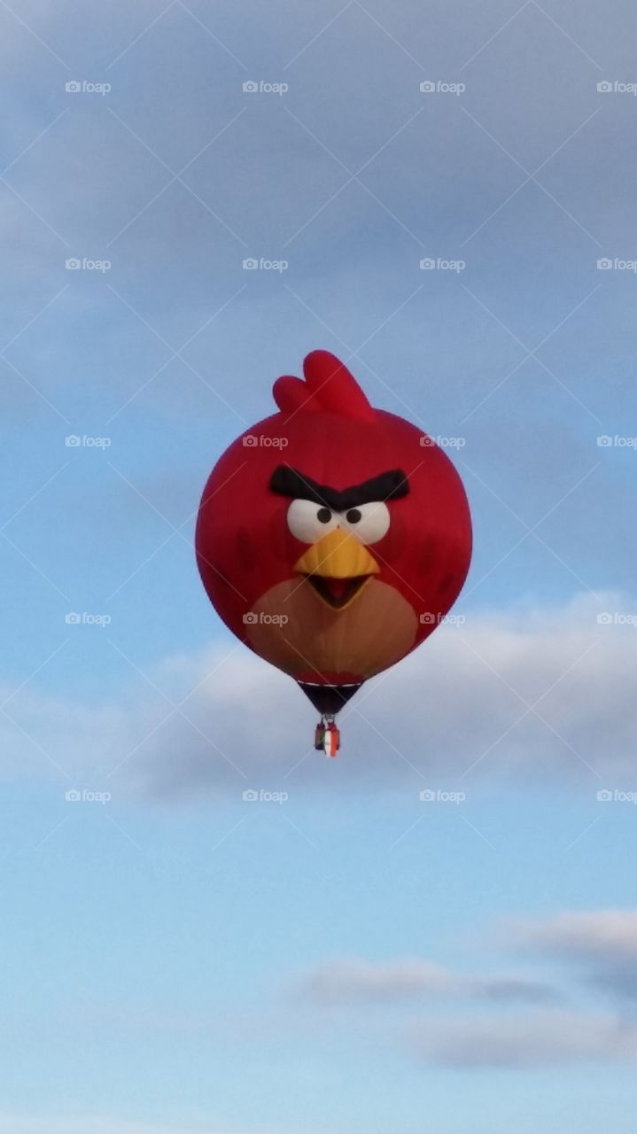 Angry Birds Balloon . Balloon Fiesta in Albuquerque New Mexico October 2014