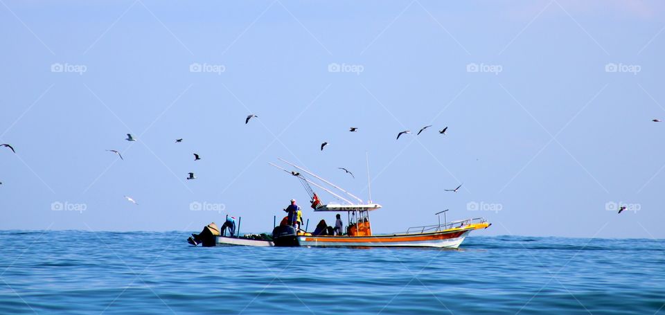 Fishing boats