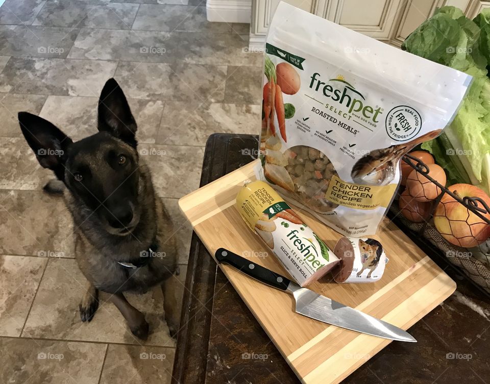Freshpet Select all natural and fresh foods for dogs and cats. Real chicken and vegetables. 