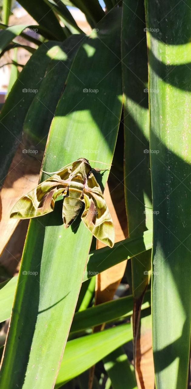 Upload photo on the week