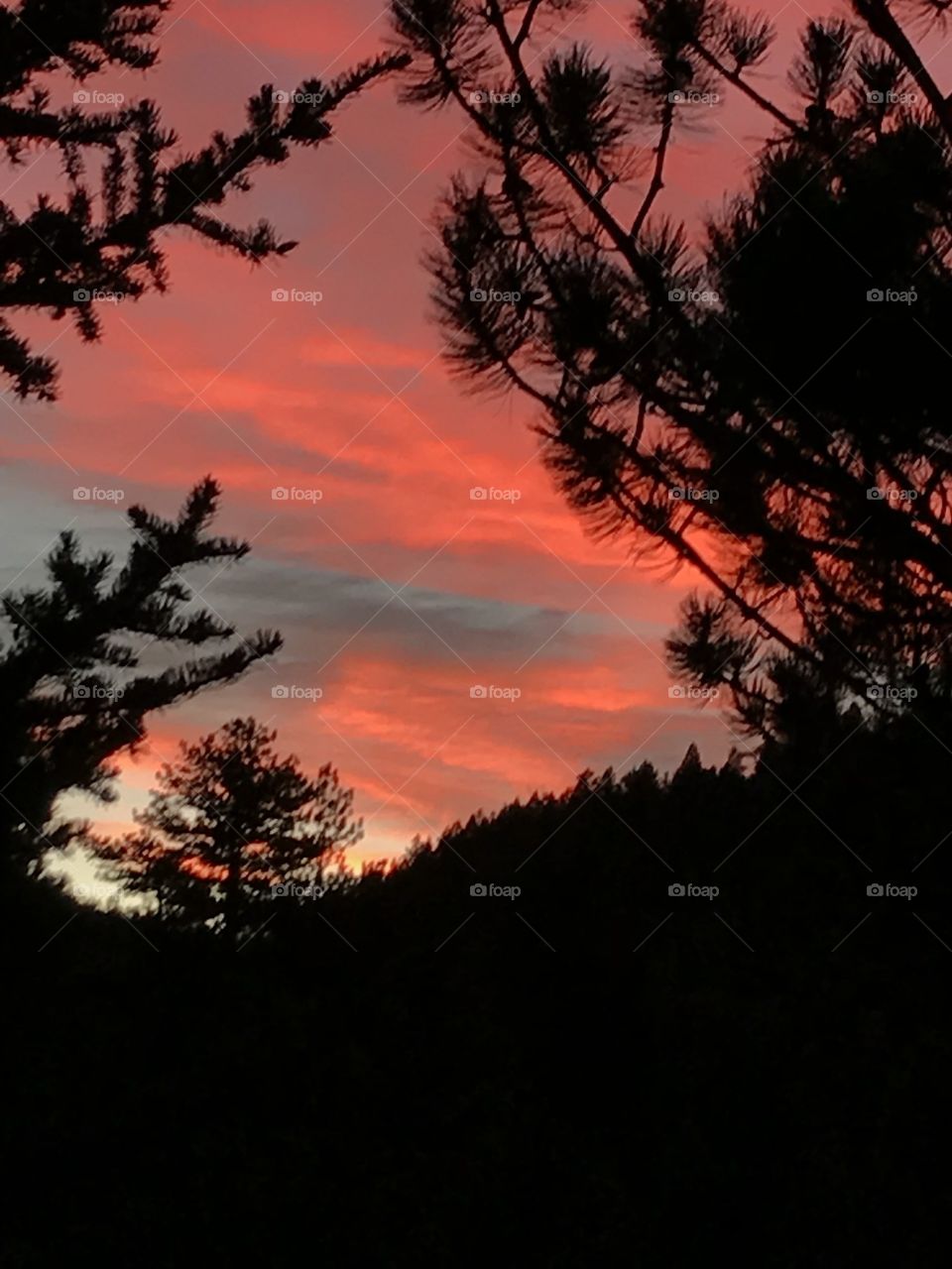 Red sky in morning 