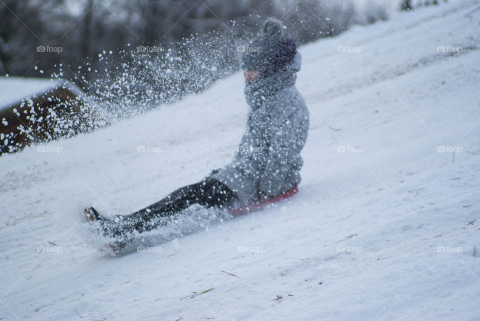 winter holidays. skating on dogs, sledding, snowboarding,