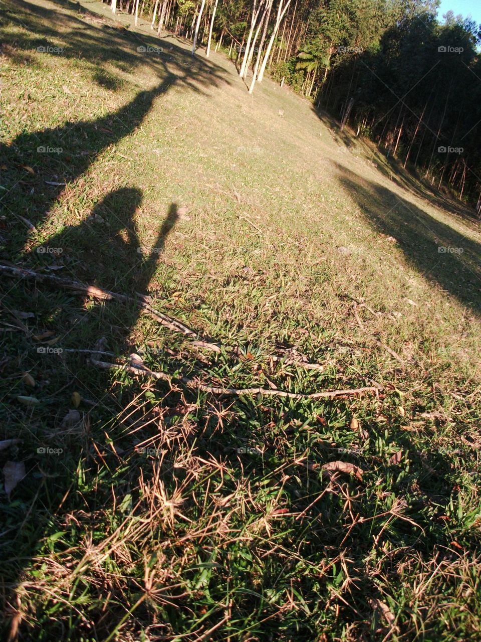 A sombra de um dia que se foi.