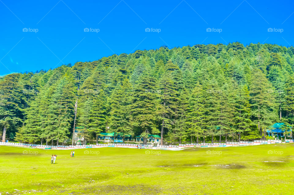 A beautiful golf course on a hill station with road blue sky trees clouds. Captured in sunny day hill station India taken landscape style useful for background wallpaper screen saver Vacation Concept