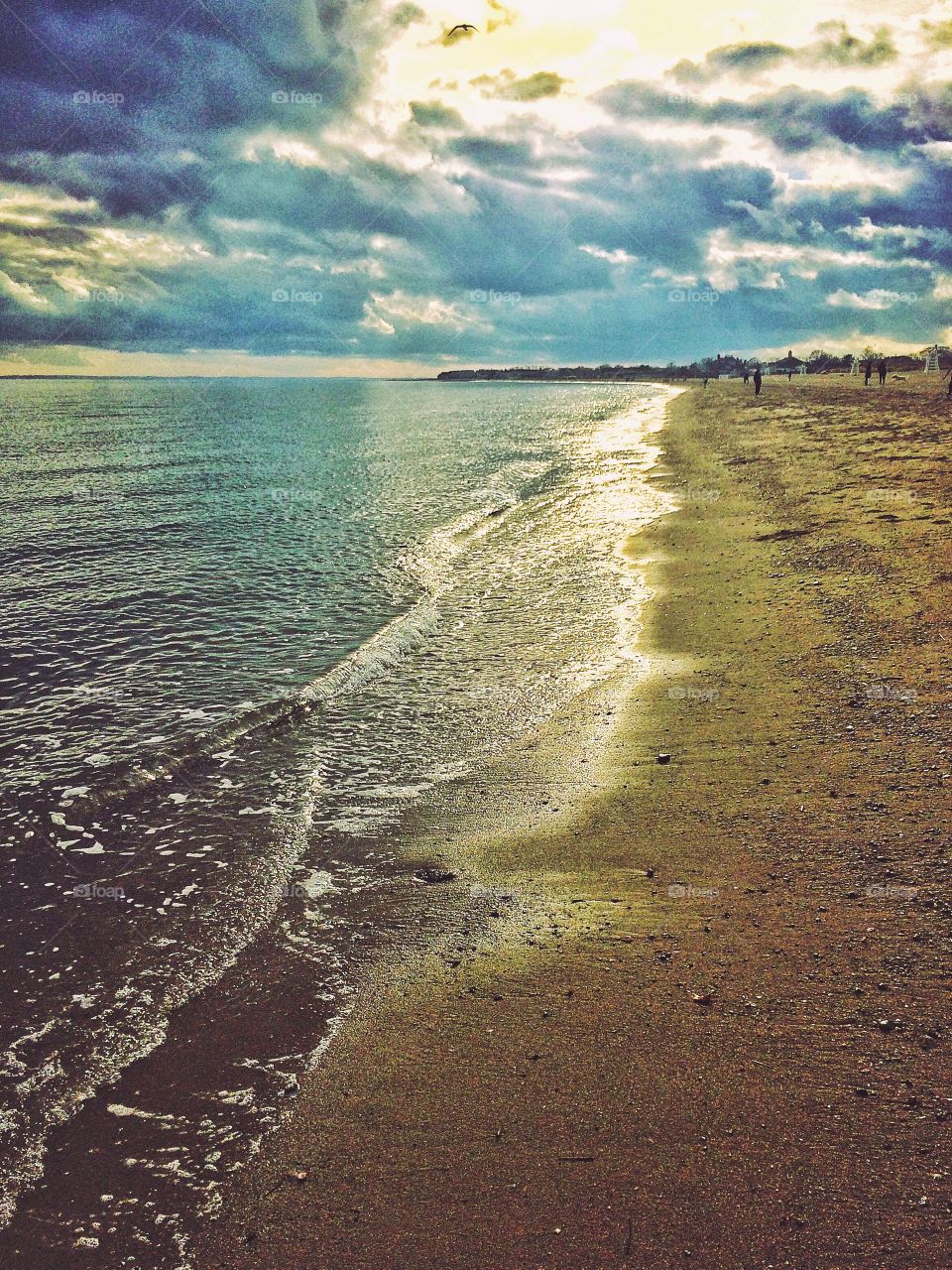 Thanksgiving at the beach 