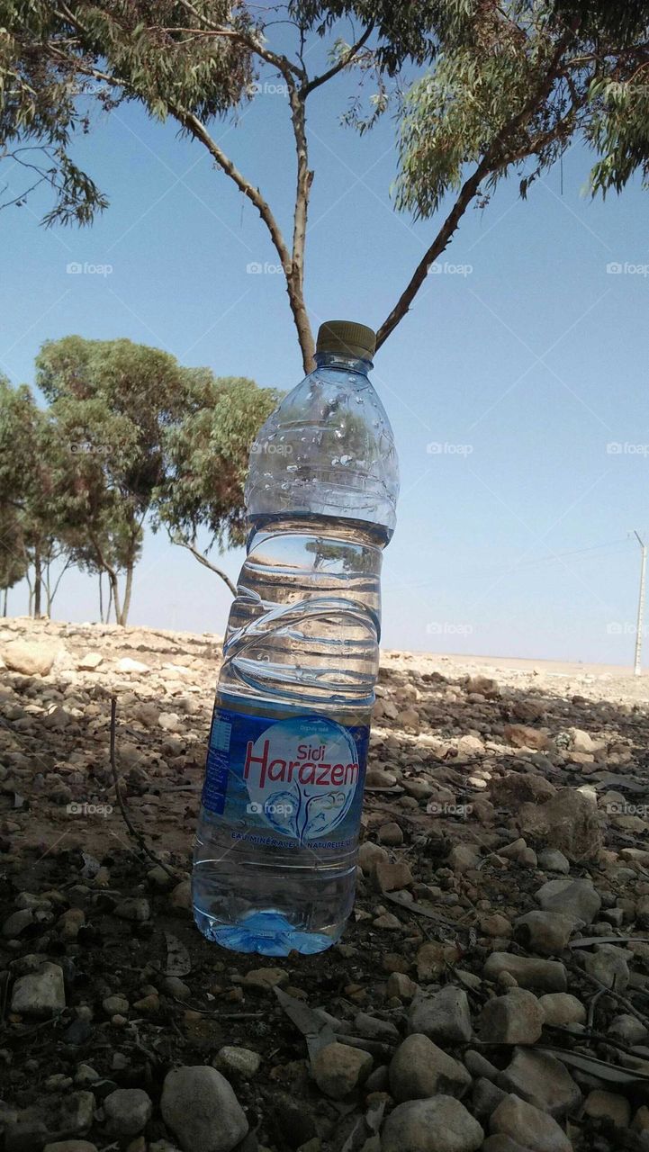 Beautiful bottle of water between a nature