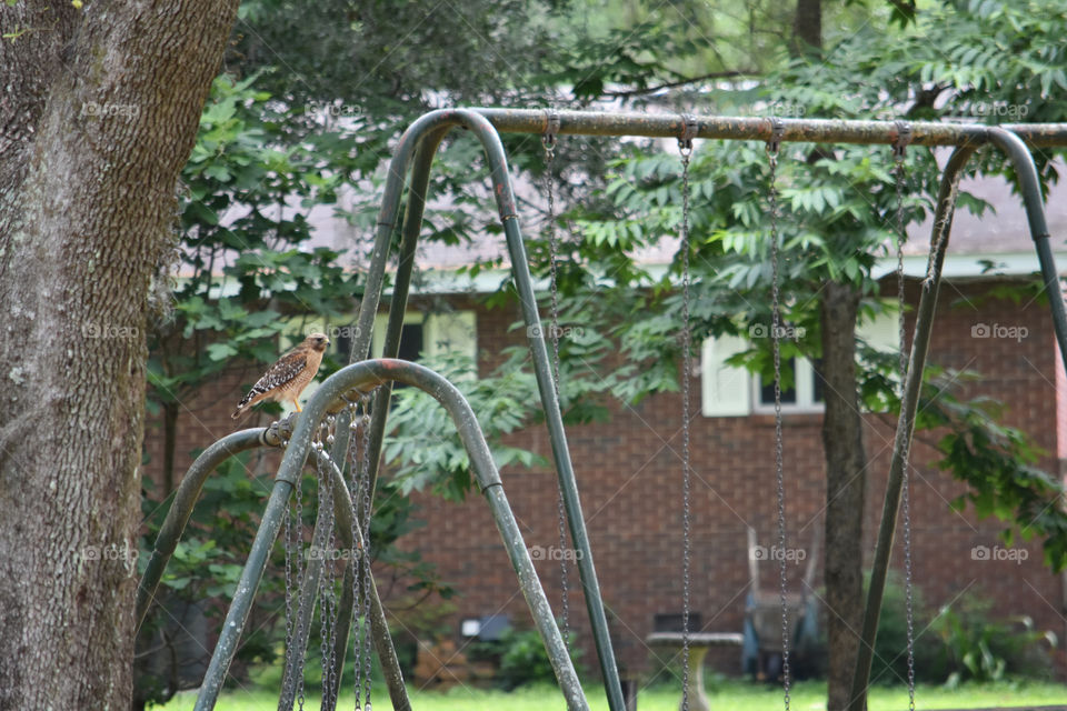 Neighborhood Stalker