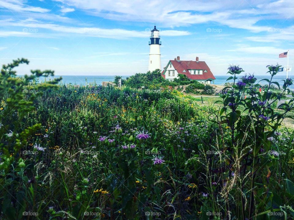 Lighthouses in the summer, what a view! Maine. 