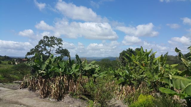 vista