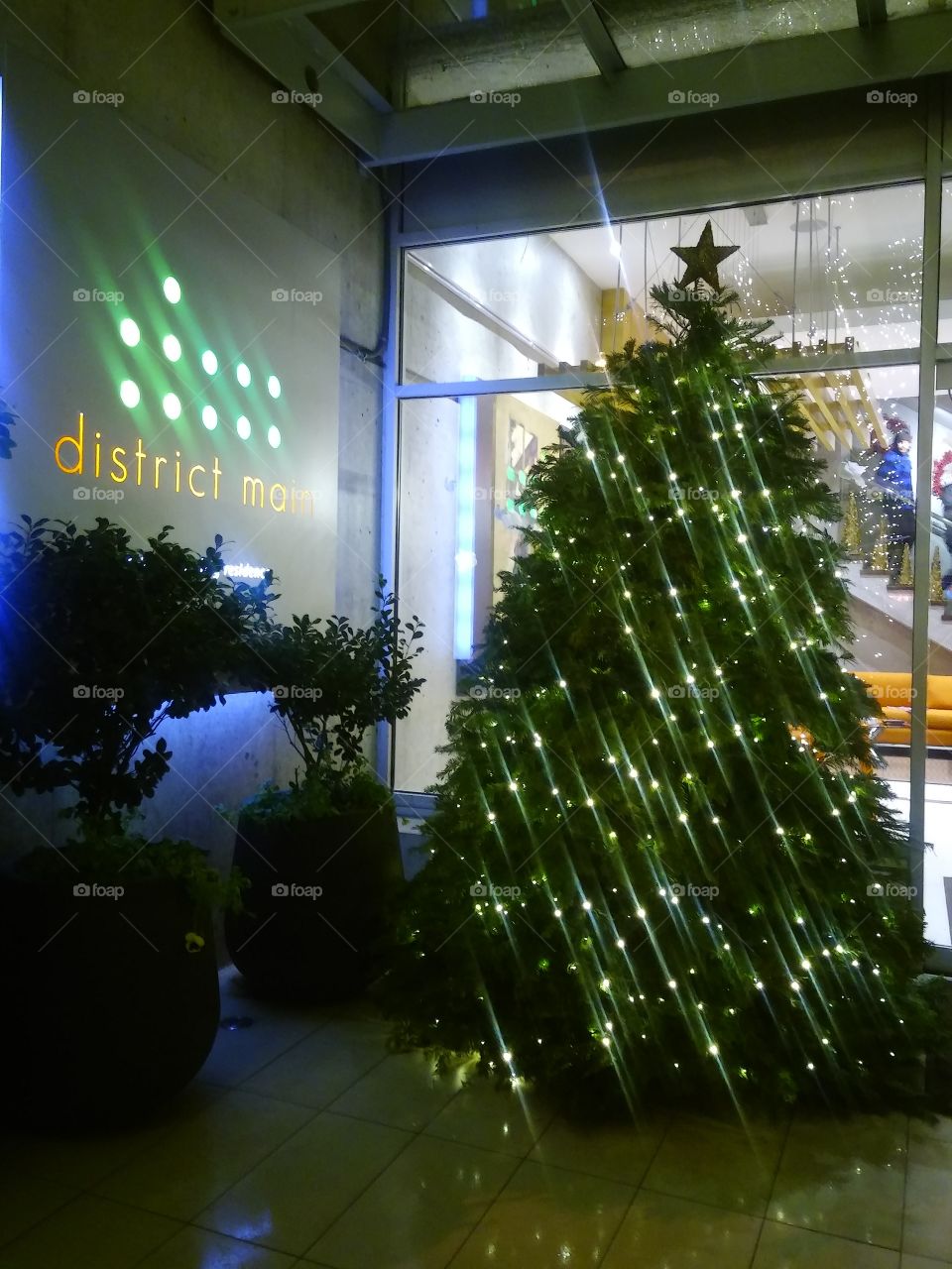 Christmas tree building lobby