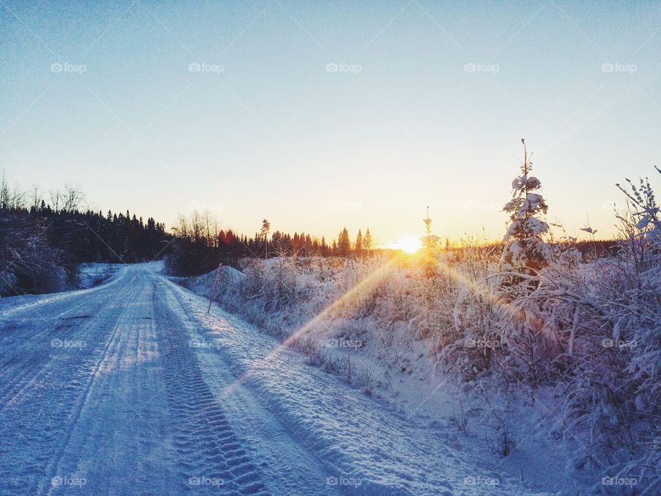 Winter, Snow, Cold, Landscape, Frost