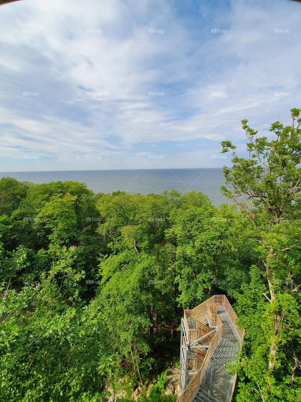 Nice view of a sea with green trees and stairs.