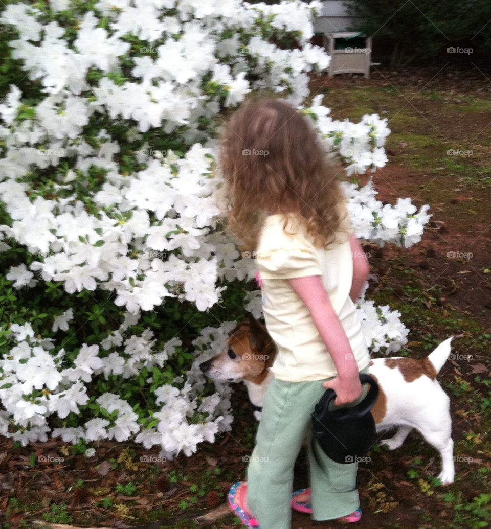 Stop and smell the roses...or azaleas