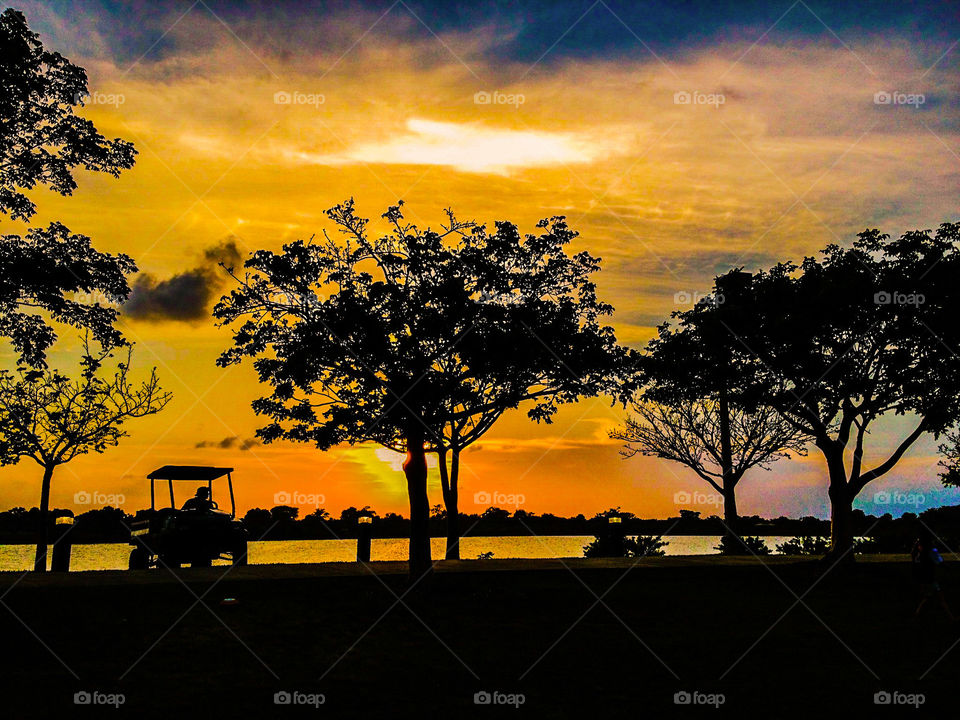 Sunset, Dawn, Tree, Sun, Silhouette