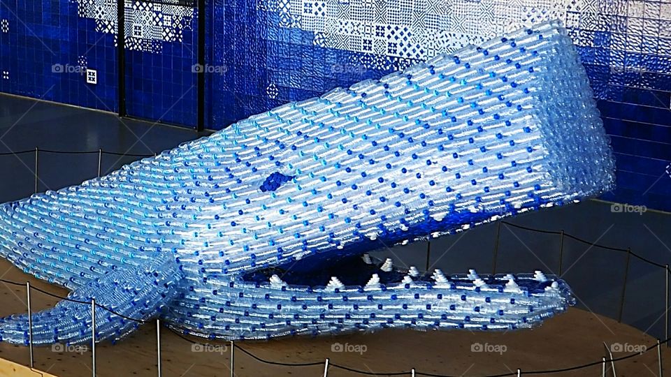 Recycling whale