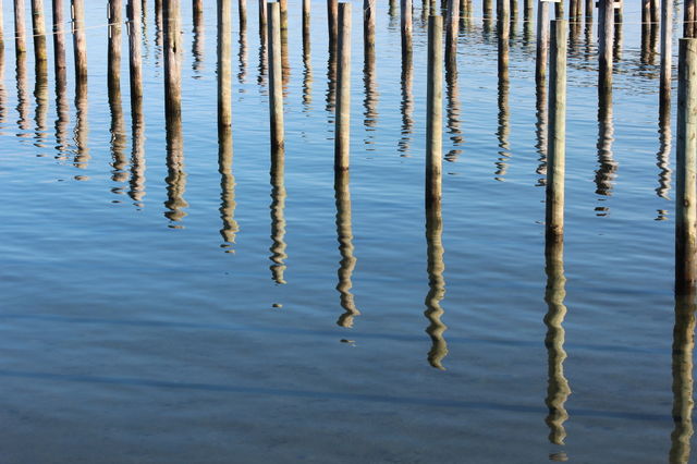 Wooden poles reflecting in water 