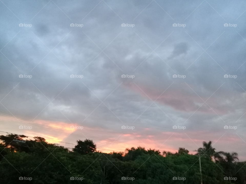 Uma foto muito bonita do céu, mostrando toda a beleza da Natureza. Aqui, as cores do infinito e a silhueta do mato.