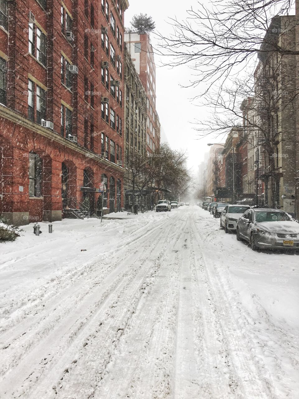 Snow in Manhattan