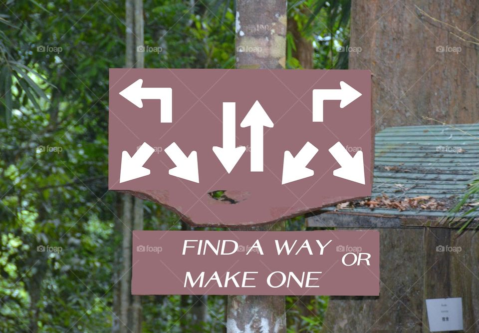 What to do and which way to go in life and career,finding or making one.