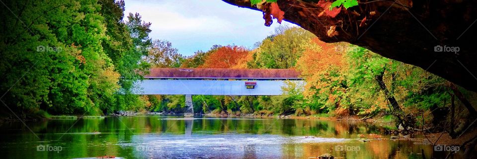 Potters covered bridge park in fall