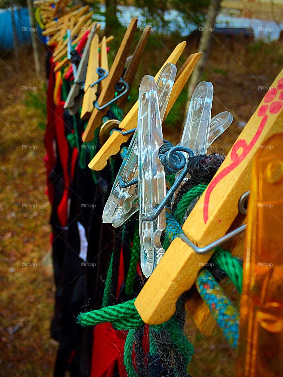 Hanging dog harnesses after a long season of dog sledding. They needed the washing.