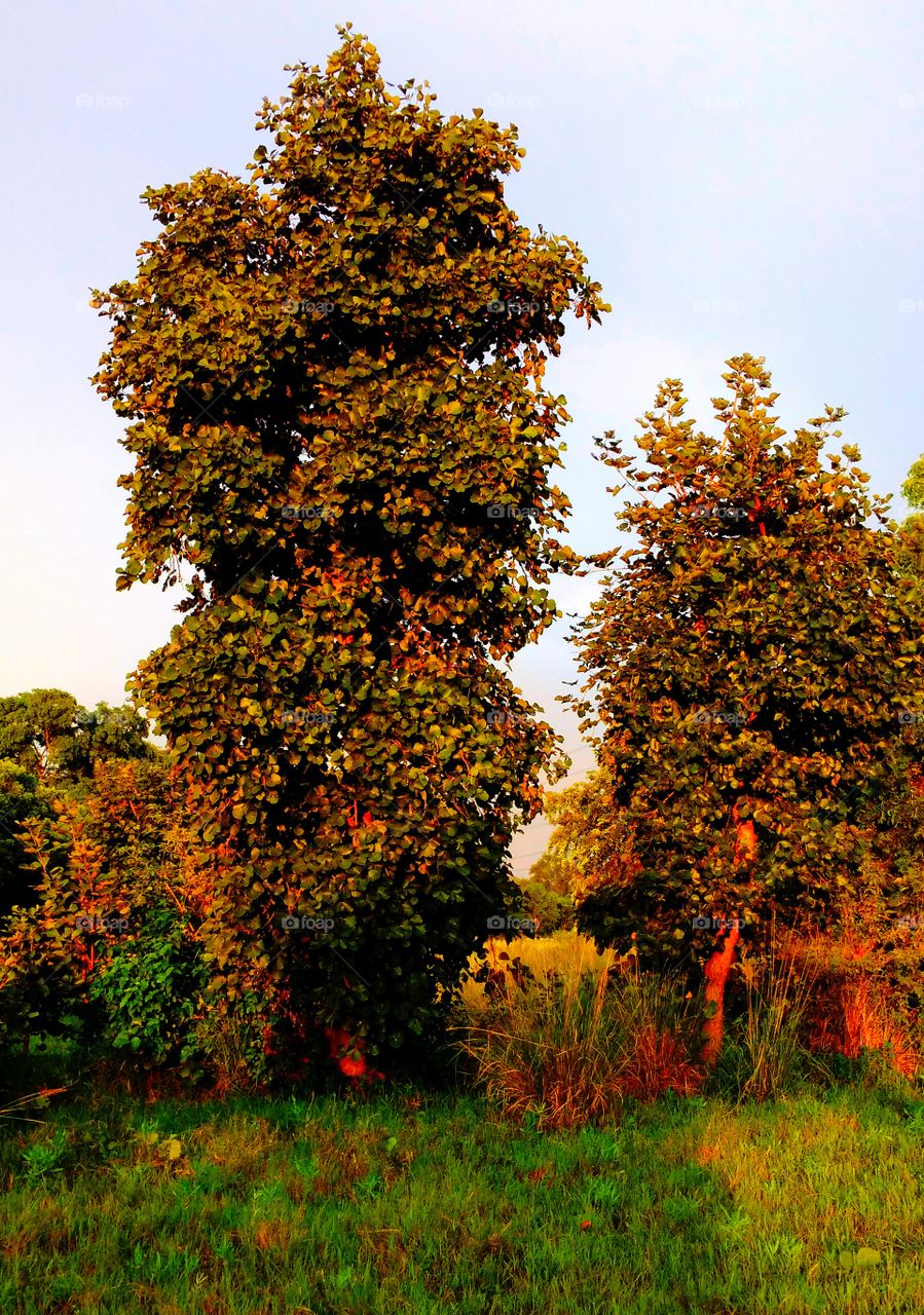 Autumn and the beautiful changes