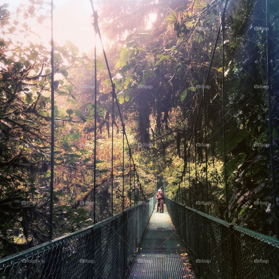 Tourists walk along suspension bridges in the cloud forest of Monteverde, Costa Rica.