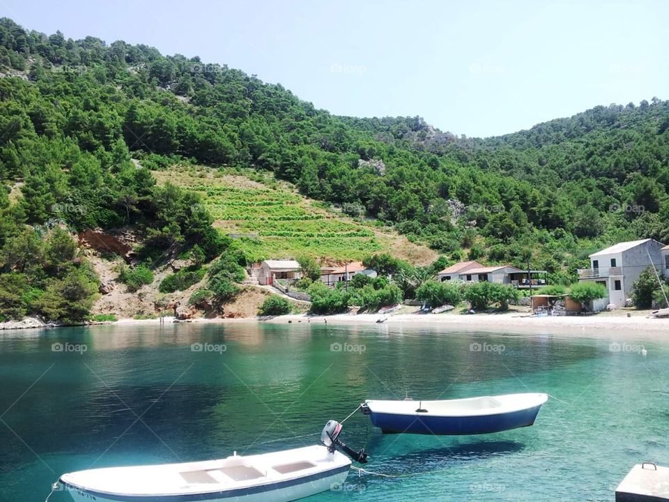 Hvar Svirce from croatia