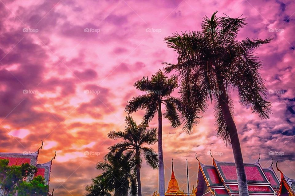 Sunset in bangkok