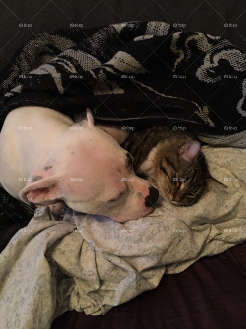 They love each other