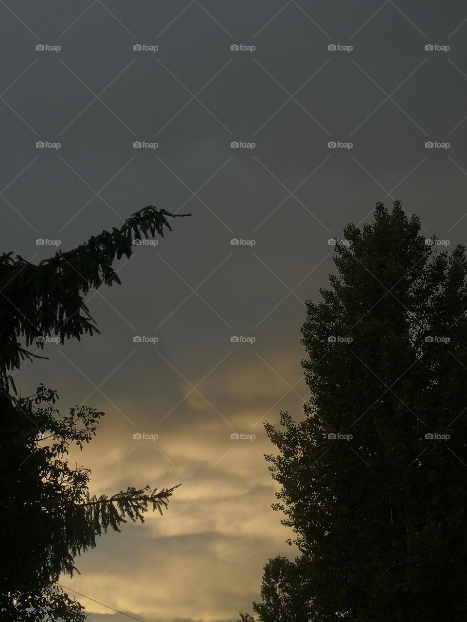 Summer time🌿☘️