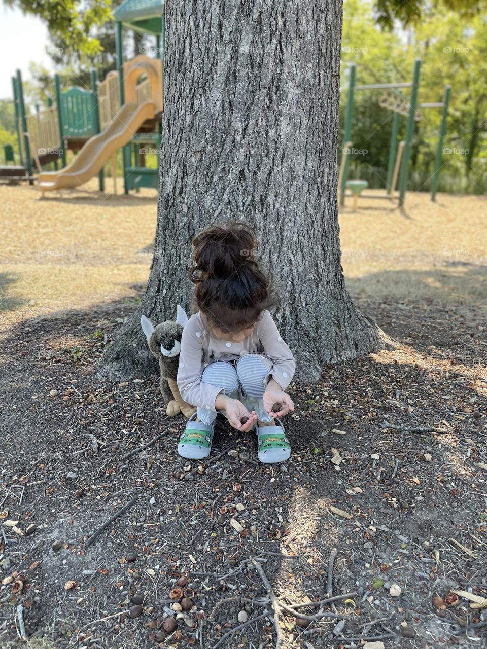 Little girl in the park picking up hickory nuts, finding hickory nuts for grandma, finding hickory nuts in the wild 