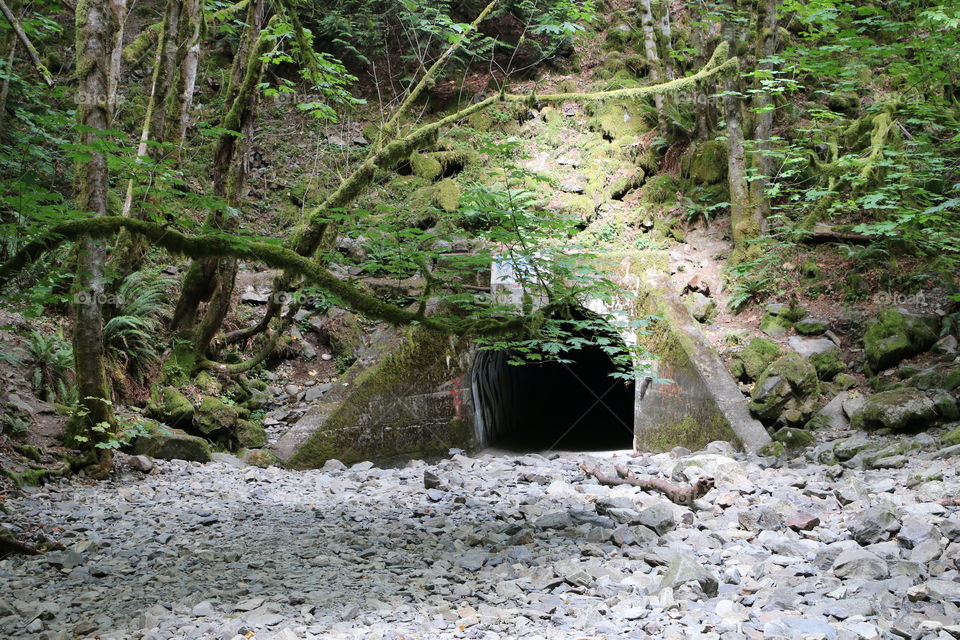 A walkway and culvert underneath the highway in goldstream park
