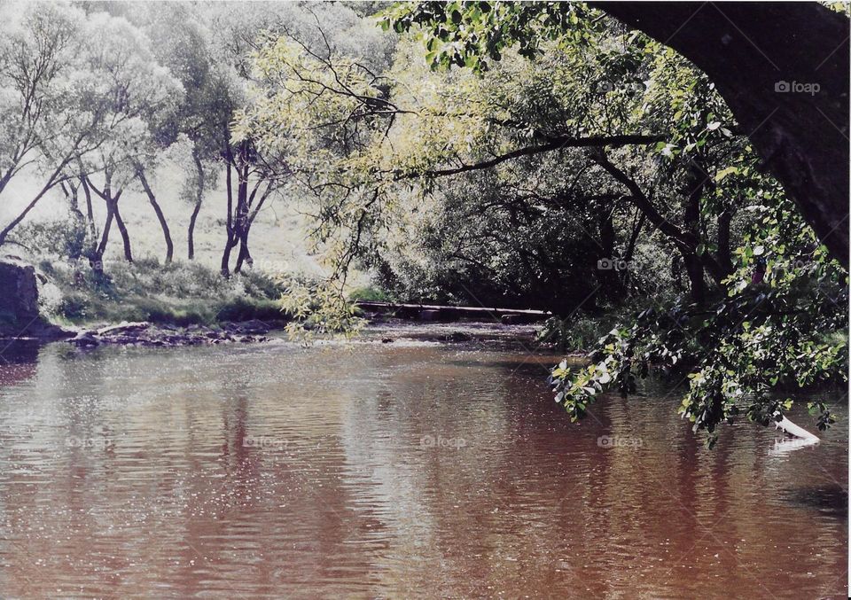 River in summer