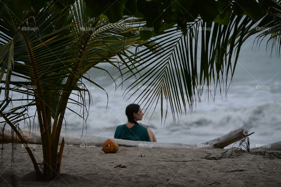 A Lady relaxes on a Costa Rica Beach. Palm tress and Coconuts frame the shot. Waves crash in the background as she searches the Ocean for a sight of her boyfriend surfing.