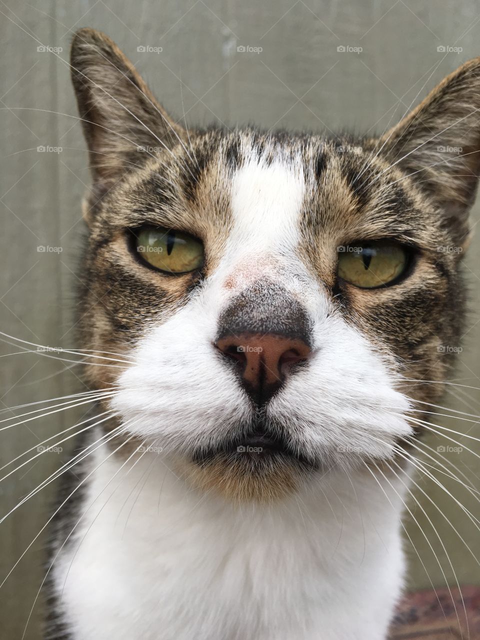 Looking for the perfect place to sit. 