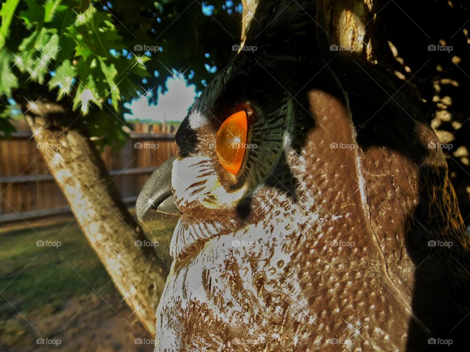 wise ole owl. This is a picture of a owl that hangs in a tree. 👣 🚶 🏃 🔥 💨