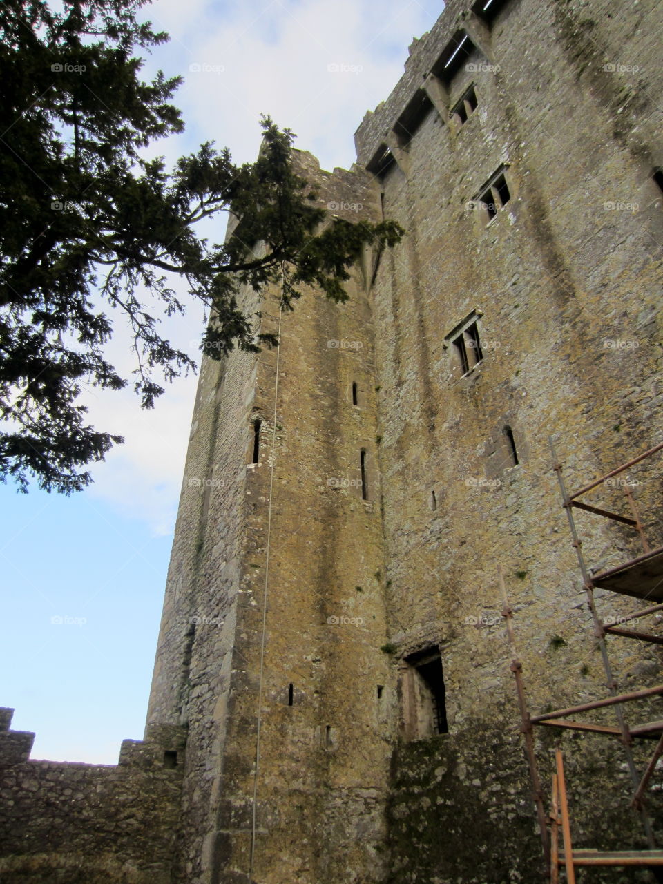 Castle, Architecture, Gothic, No Person, Tower