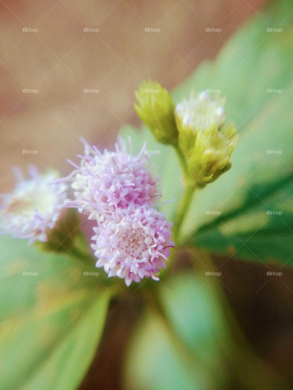 hugging and affection