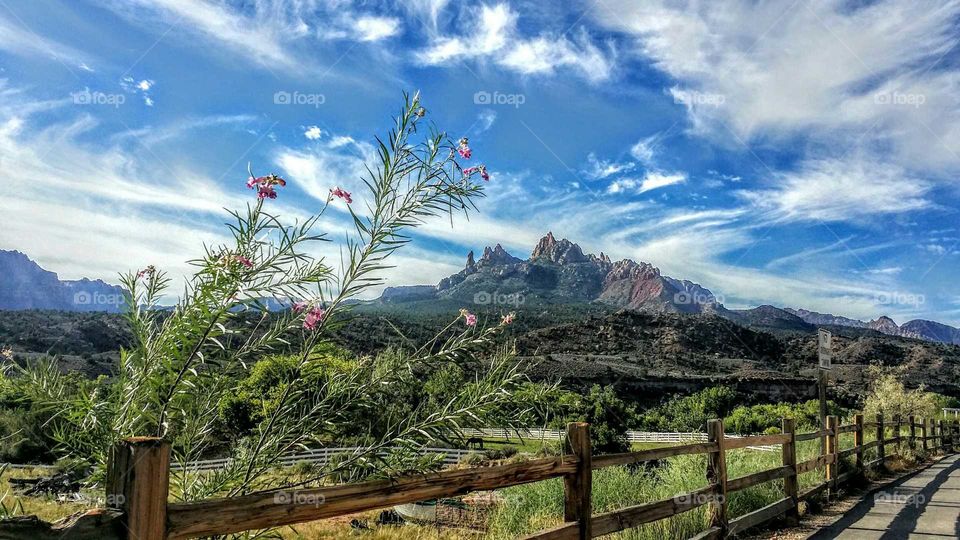 Scenic view of nature