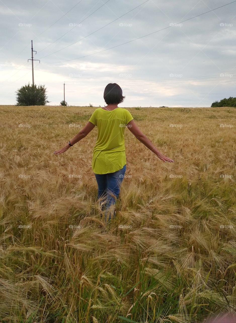 Прогулка по пшеничному полю.