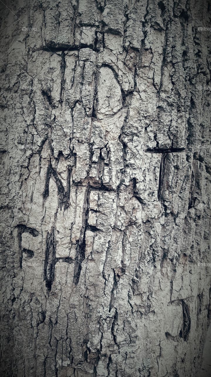 Tree Initials