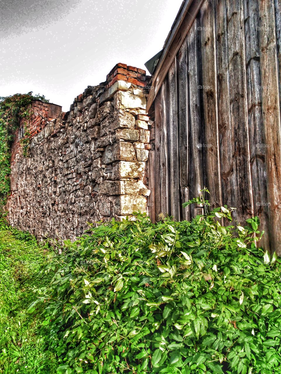 "...all blades of grass, wood, and stone, all things are one..."
~Meister Eckhart