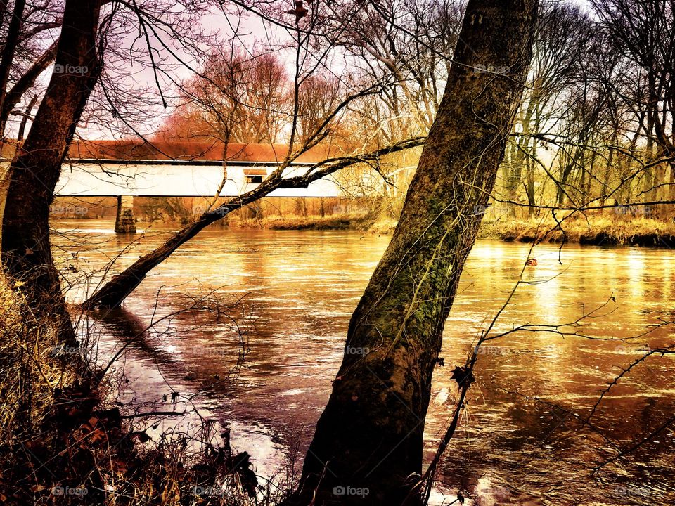 Covered bridge views